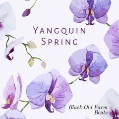 Yangquin Spring