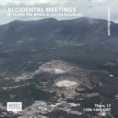 AM Noods Residency w/ Flora Yin-Wong + Lucien Douglas