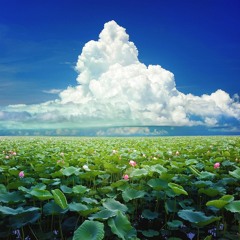 Lil Uzi Vert type beat x Trippie Redd type beat - nimbus (prod. nox & fertysapiosbeatz)