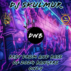 Best of Drum and Bass of 2024 bangers only