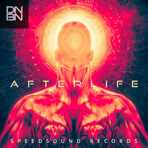 DNBN - Afterlife (Cubase Psytrance Template)