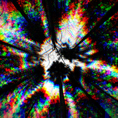 Distorted Inspiration