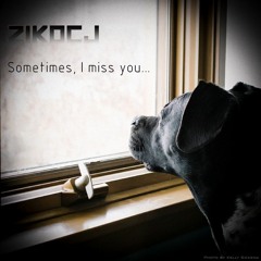 ZiKOCj - Sometimes I miss you...