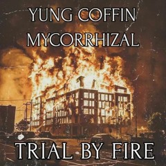 TRIAL BY FIRE (w/ mycorrhizal) (prod kyme)
