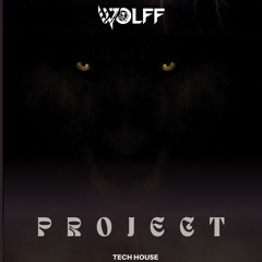 WOLFF - PROJECT - TECH HOUSE