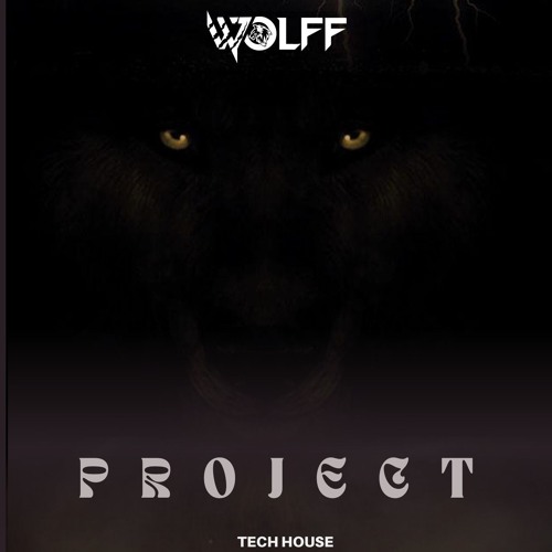 WOLFF - PROJECT - TECH HOUSE