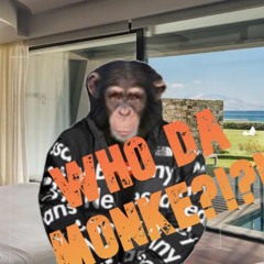 WHO DA MONKE?!?!?!