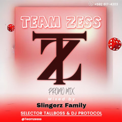 TEAM ZESS PROMO MIX DJ PROTOCOL & SELECTOR TALLBOSS SLINGERZ FAMILY