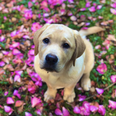 Aces - Drake and Baby Keem (prod. Dkjbeats)