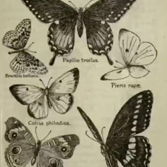 a soulmate who wasnt ment to be~cover