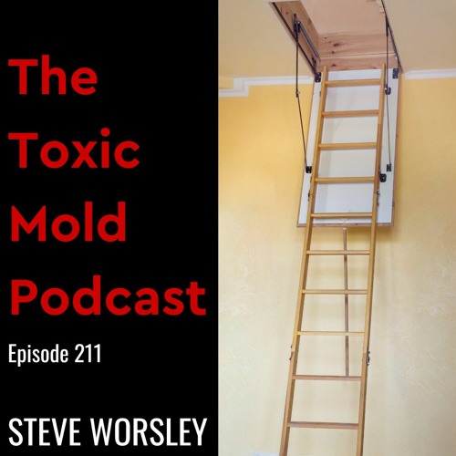 EP 211: Is Toxic Mold in Your Attic Making You Sick?