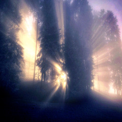 southsidesilhouette + rollinthrax type beat "portal" (prod. etcedre)