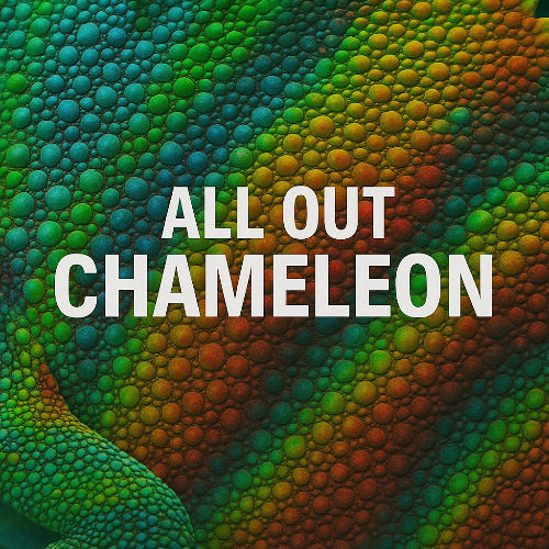 Chameleon // from 2011