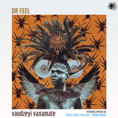 Dr Feel - Vaudzeyi Vanamate (Native Tribe & Da Q-Bic Inhuman's Remix)