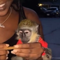 natenumbaeight - ZaMonkeyFreestyle [babatobi]