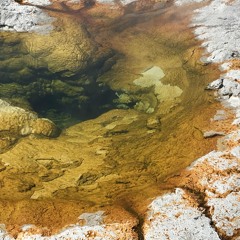 ¡DYKED! mortalis set