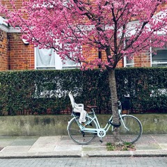 Not Far From New York