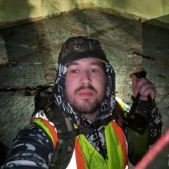 The befuddling neofeudalist scrapbook continues