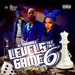 Levels To The Game Vol.6