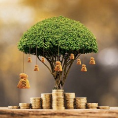 MODULO 4. 2 ACTIVA LA PROPERIDAD SIN FIN