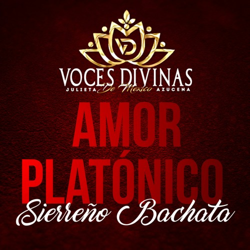 Amor Platonico- Sierreño Bachata