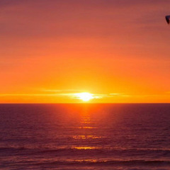 Staring at the Sunrise