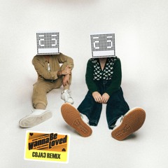 Henri PFR & FDVM - Wanna Be Loved (feat. PollyAnna) [Cojac Remix]