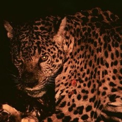 TEKKMAXX - EL$E | SLOWED