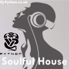 Dj Python - 2021 House Part 3 (Soulful House)