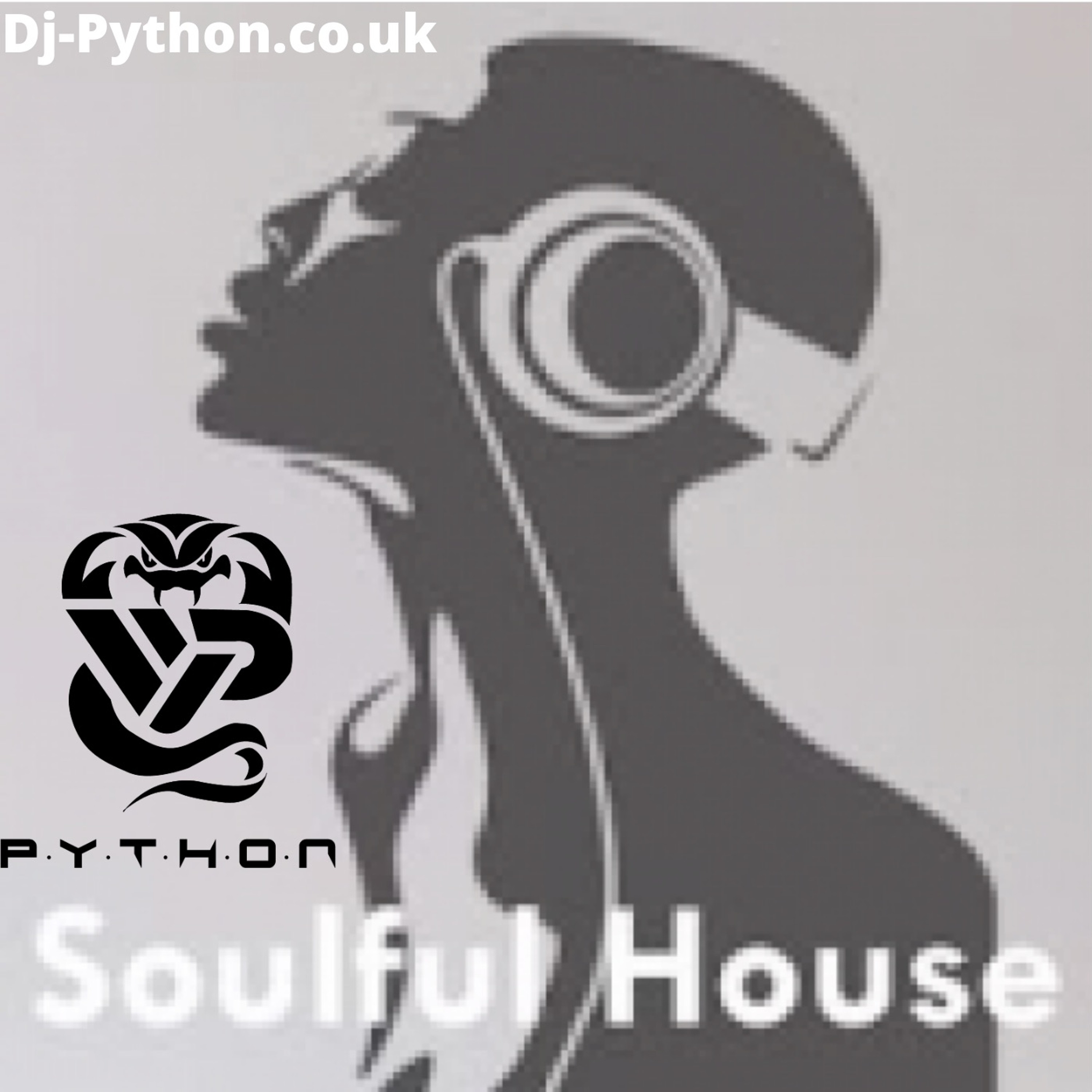 Dj Python - 2021 House Part 3 (Soulful House) episode artwork