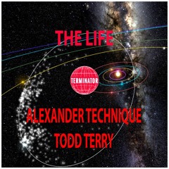 The Life (Klienfeld Remix) - Todd Terry & Alexander Technique