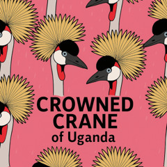 Crowned Crane