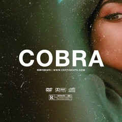 (FREE) | "Cobra" | B Young ft Rema & Tiwa Savage Type Beat | Free Beat | Afrobeat Instrumental 2023