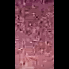 Fuck You  Sandman  … Fuck Fuck You