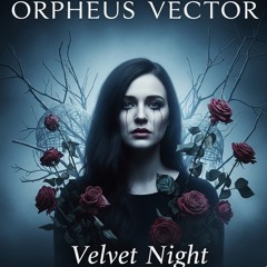 VELVET NIGHT