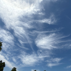 fugue machine rubato sumu supermass pleiades