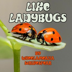 Like Ladybugs