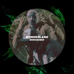 UNKNOWN T & M HUNCHO - WONDERLAND (SHRUGGFLIP)