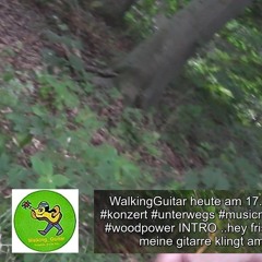 WalkingGuitar heute am 17.07.2025 3. #livemusicvideo #woodpower INTRO #musicmaking #Walk