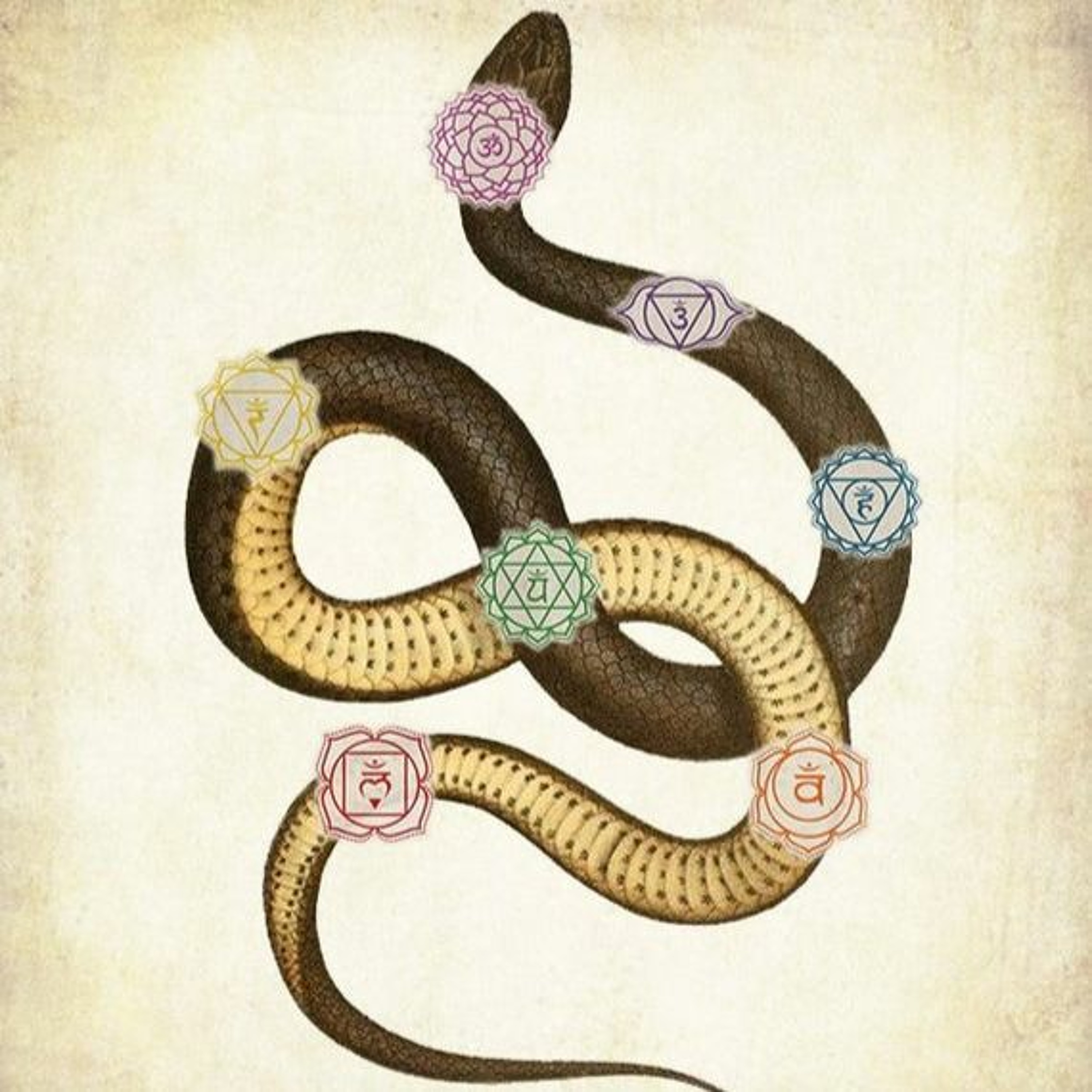 Kundalini Cobra episode artwork
