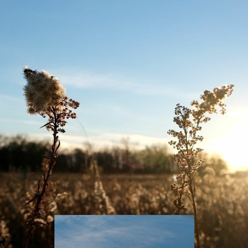 somewhat reckless_20211202