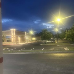 Your Best Friend Will