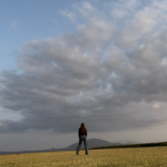 Hallelujah (In the Stillness)