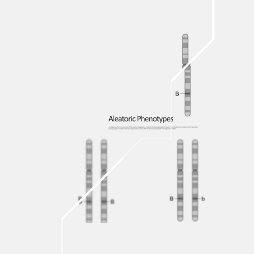 Stream Aleatoric Phenotypes by Armin Vali | Listen online for free on ...