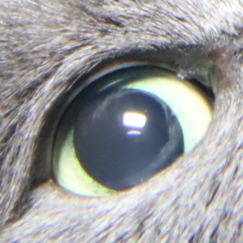 Stream Deftones Rosemary (slowed + reverb) by origins Listen online