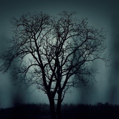 별 헤는 밤- Starry Night. 채은옥/ Chae Eunok