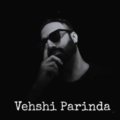 Pehchano Mujhe - A Vehshi Parinde Project
