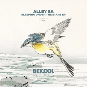 Alley SA - Sleeping Under The Stars (VieL Remix)