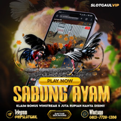 Slotgaul : Bandar Sabung Ayam Wala Meron Terpercaya