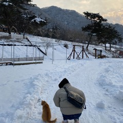 어쩌면